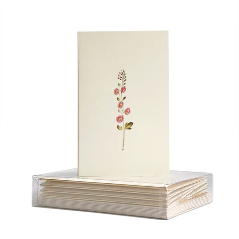 Floral Boxed Mini Note